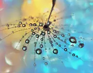 Mała konstelacja