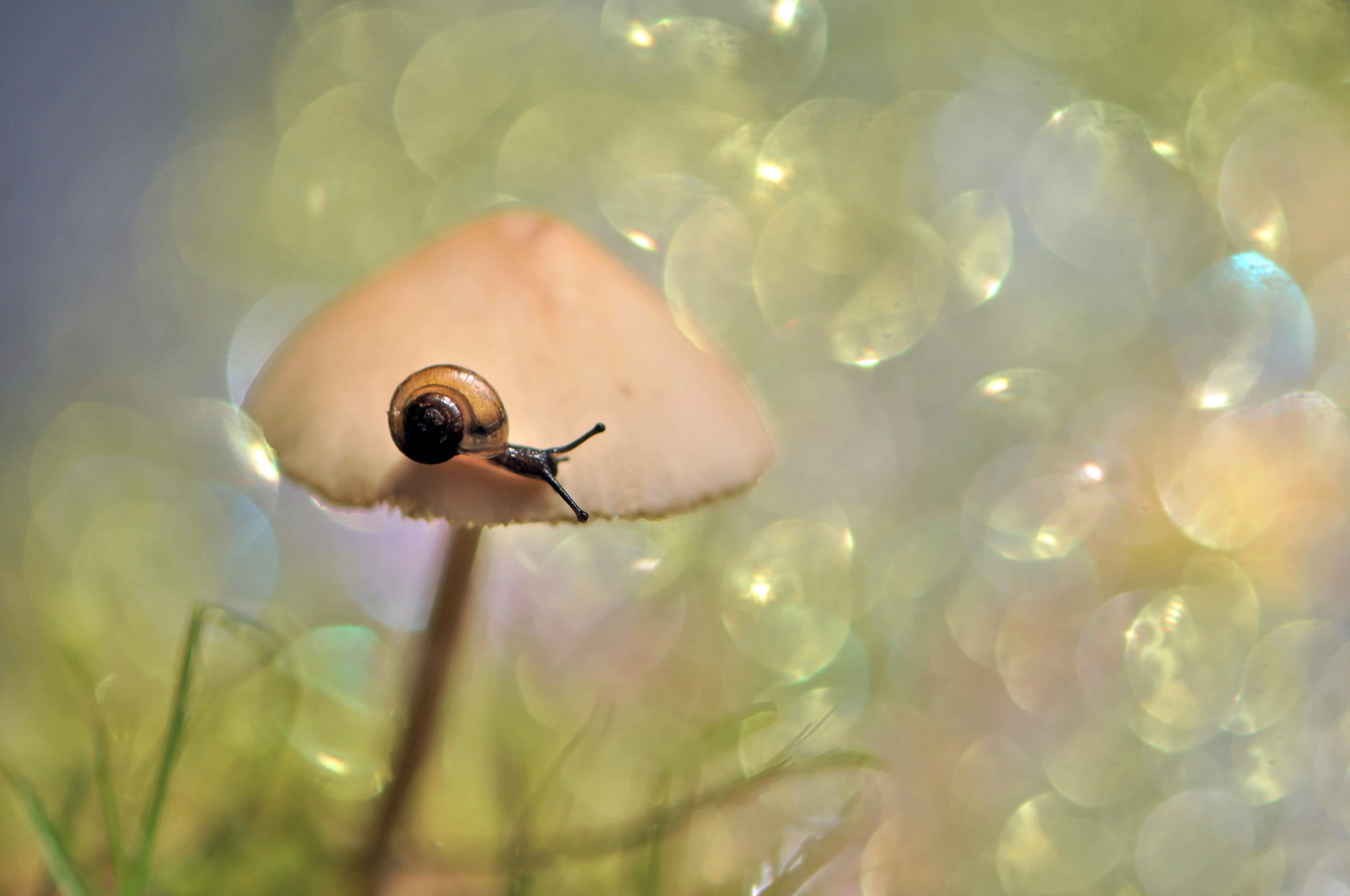 Mały w wielkim świecie