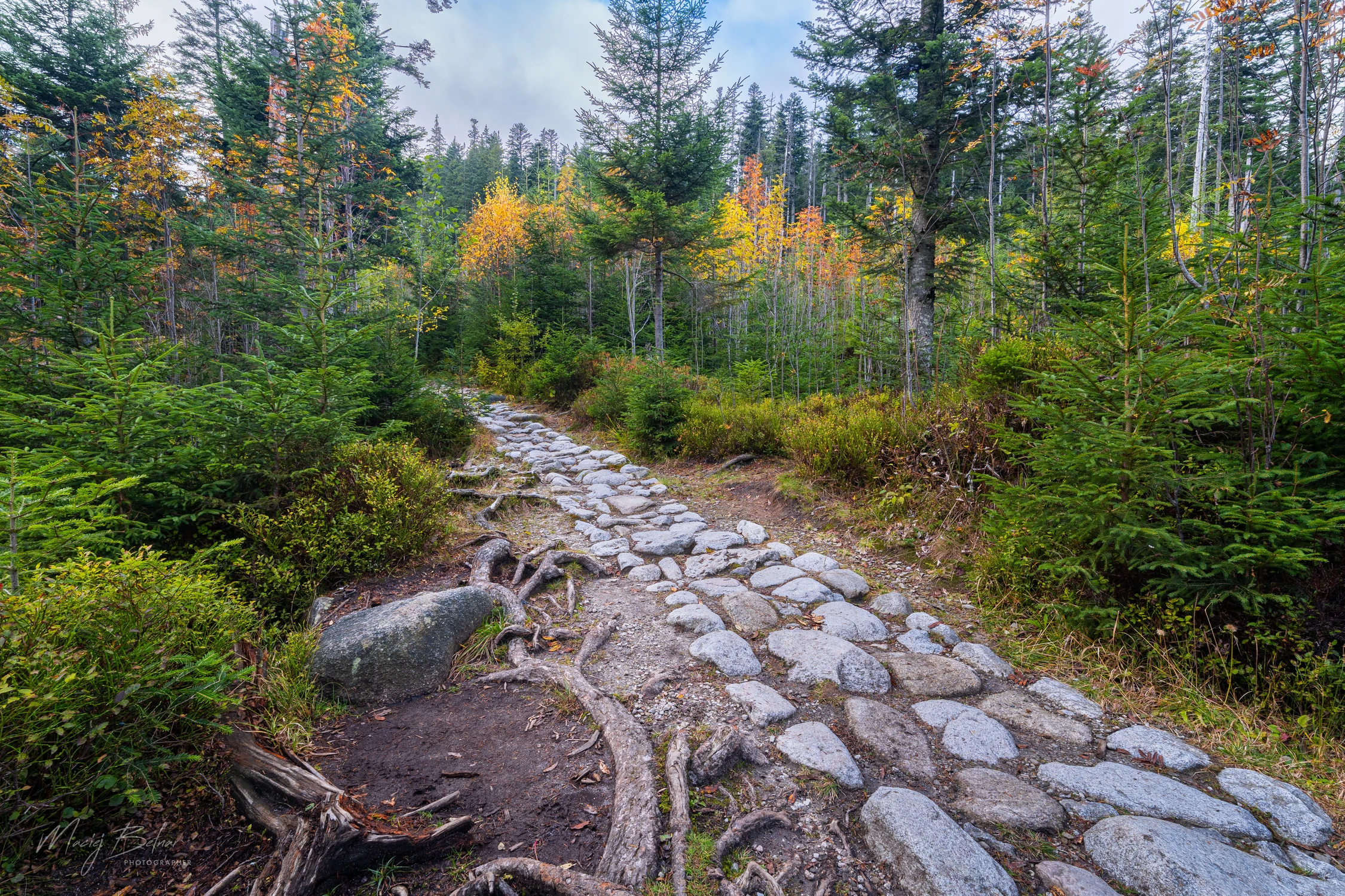 DROGA NA RUSINOWĄ POLANĘ