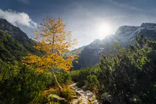 PIERWSZY ODDECH JESIENI