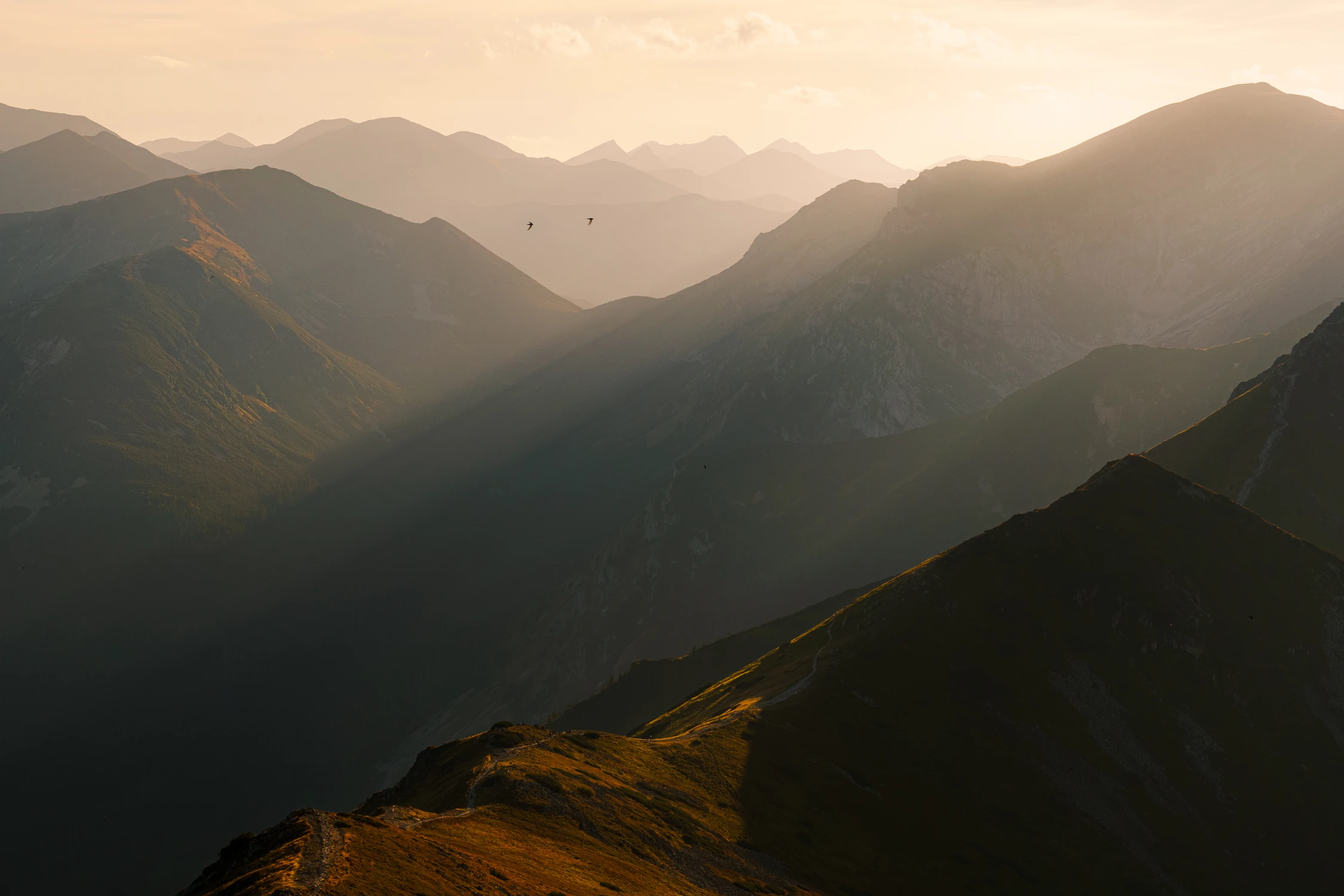 Taniec światła i cienia