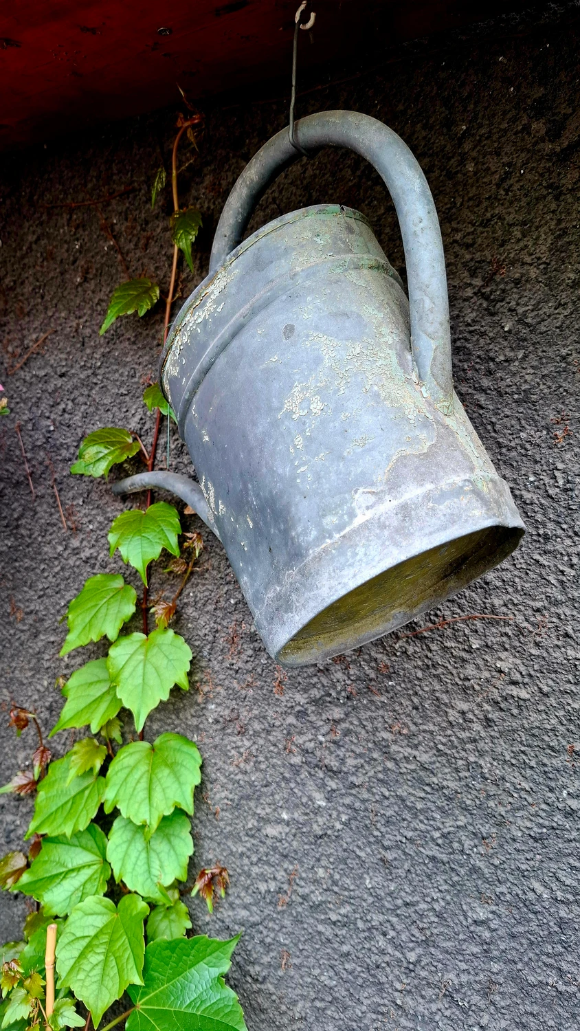 Suche podlewanie