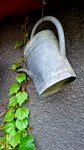 Suche podlewanie