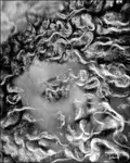 MT5_9557