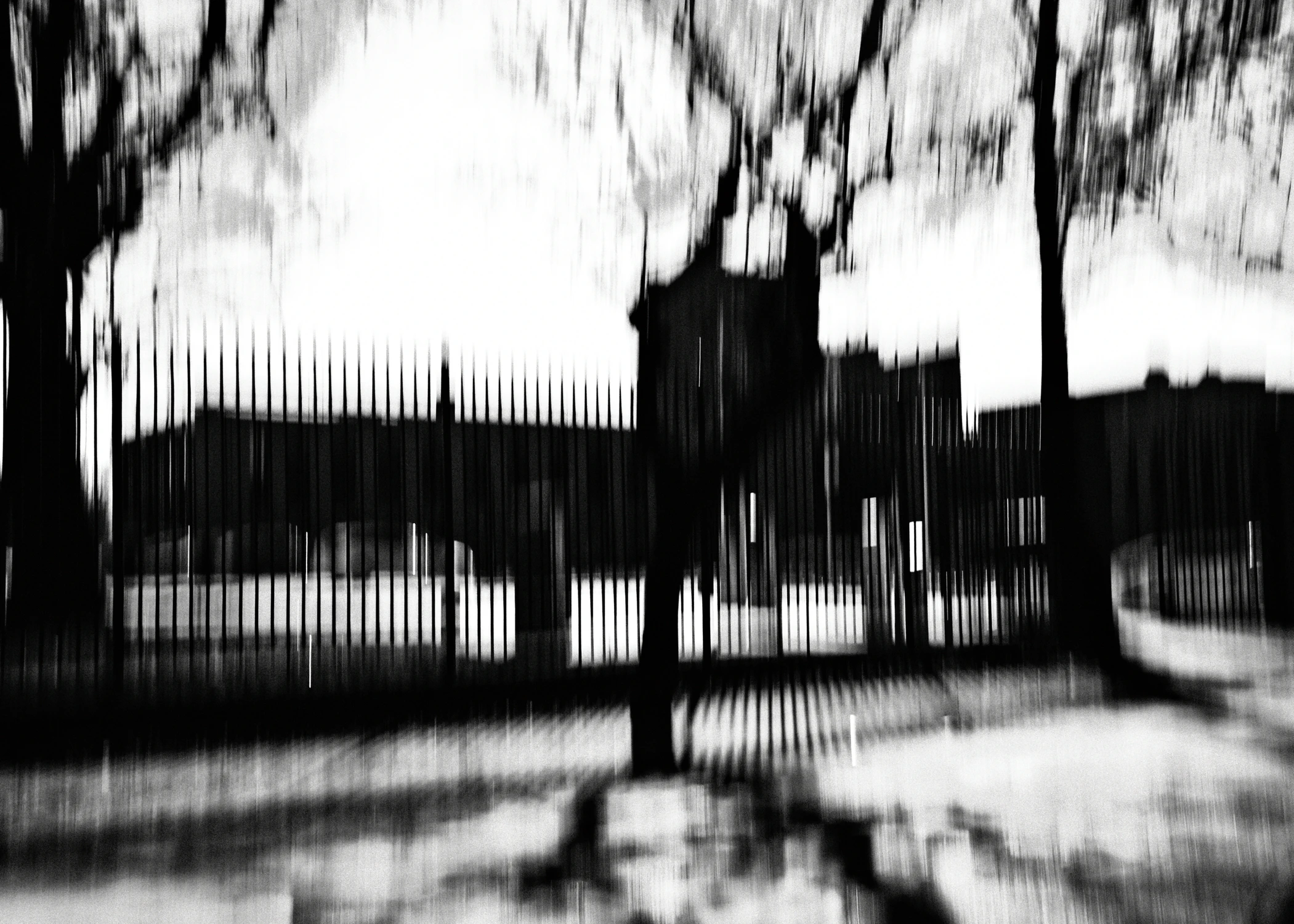 MEMENTO FOTOGRAFICZNE 