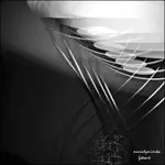 MT5_9164