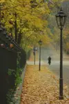 Spacerując