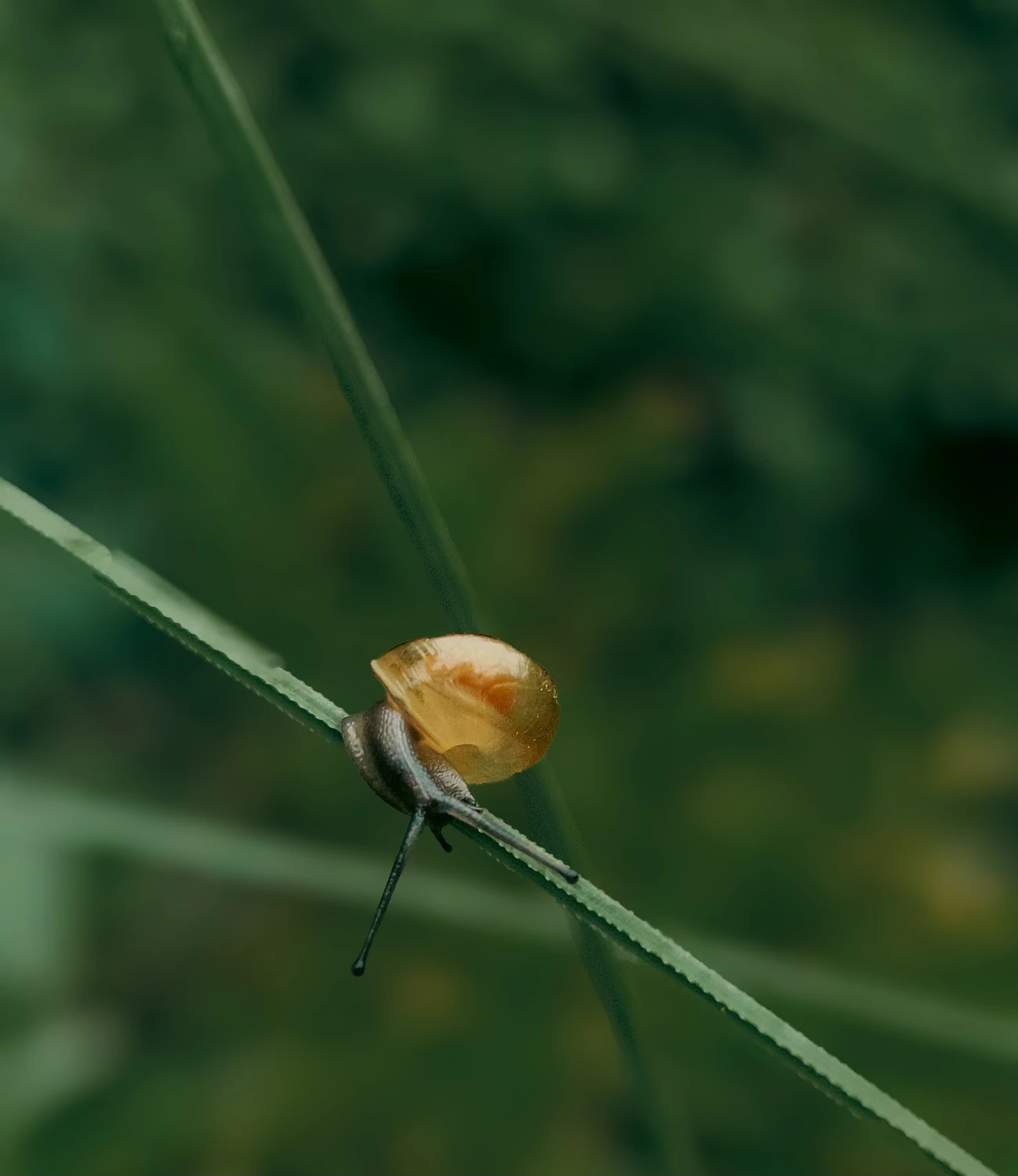 Zawracanie na źdźble :)