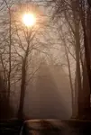 W słońcu i we mgle