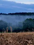 A po burzy spokój 