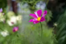 #004