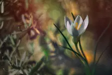#13...06