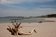 Potwór_2