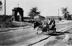 W zaprzęgu.