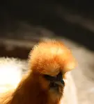 ^^^^