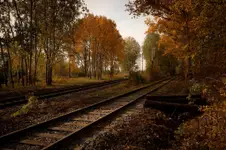 OCTOBER RUST / ŁÓDŹ