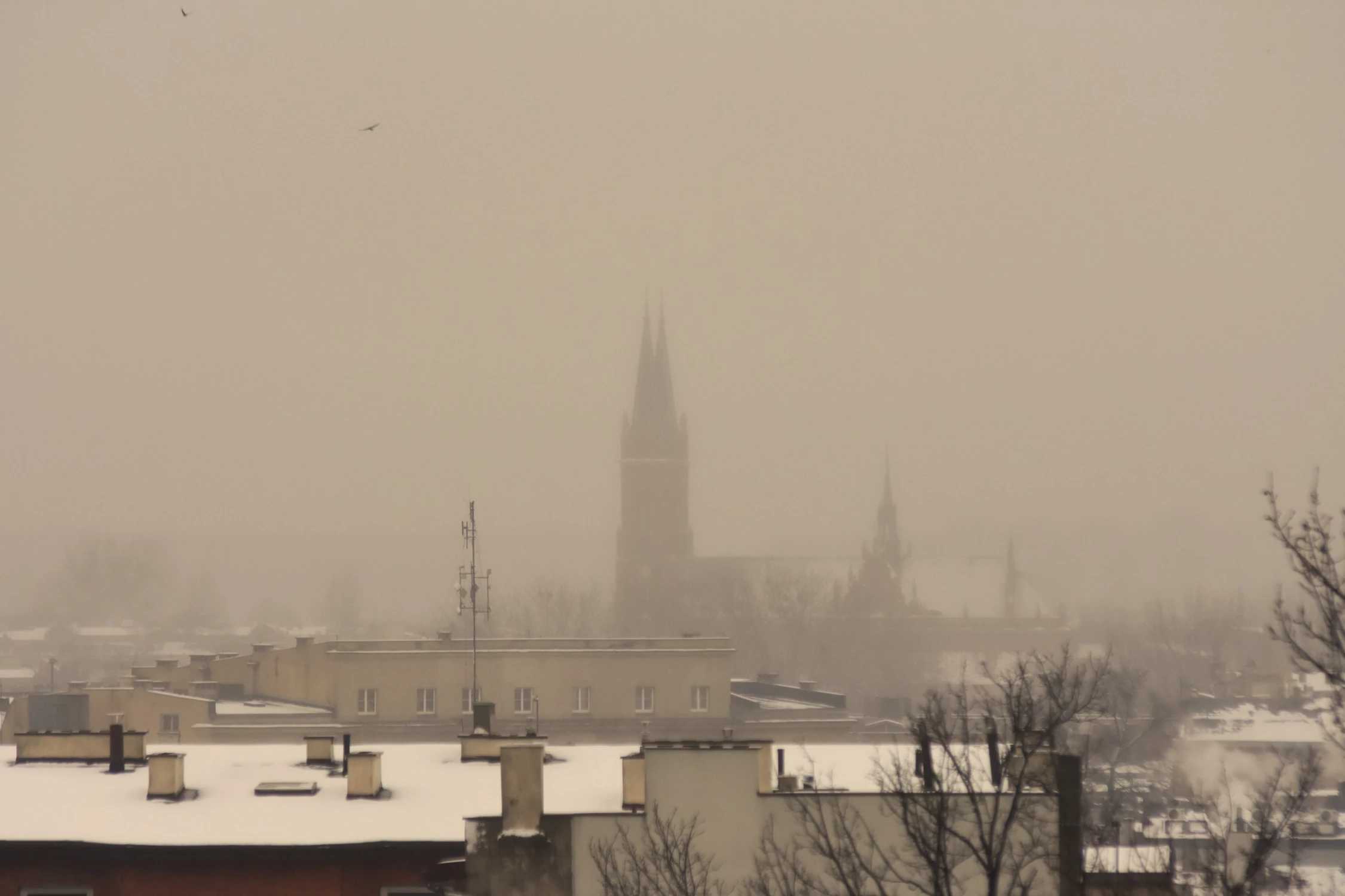 FOTOGRAFIA NIEZALEŻNA