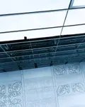 4   SENSU SCRICTO     