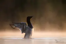 Poranne przeciąganie