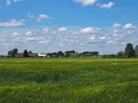 Gospodarstwo