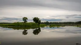 Stawy koło Milicza.