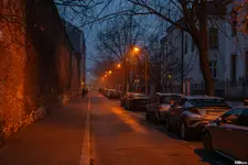 Zmierzch zapada na Botanicznej...