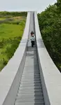 Pokolenia