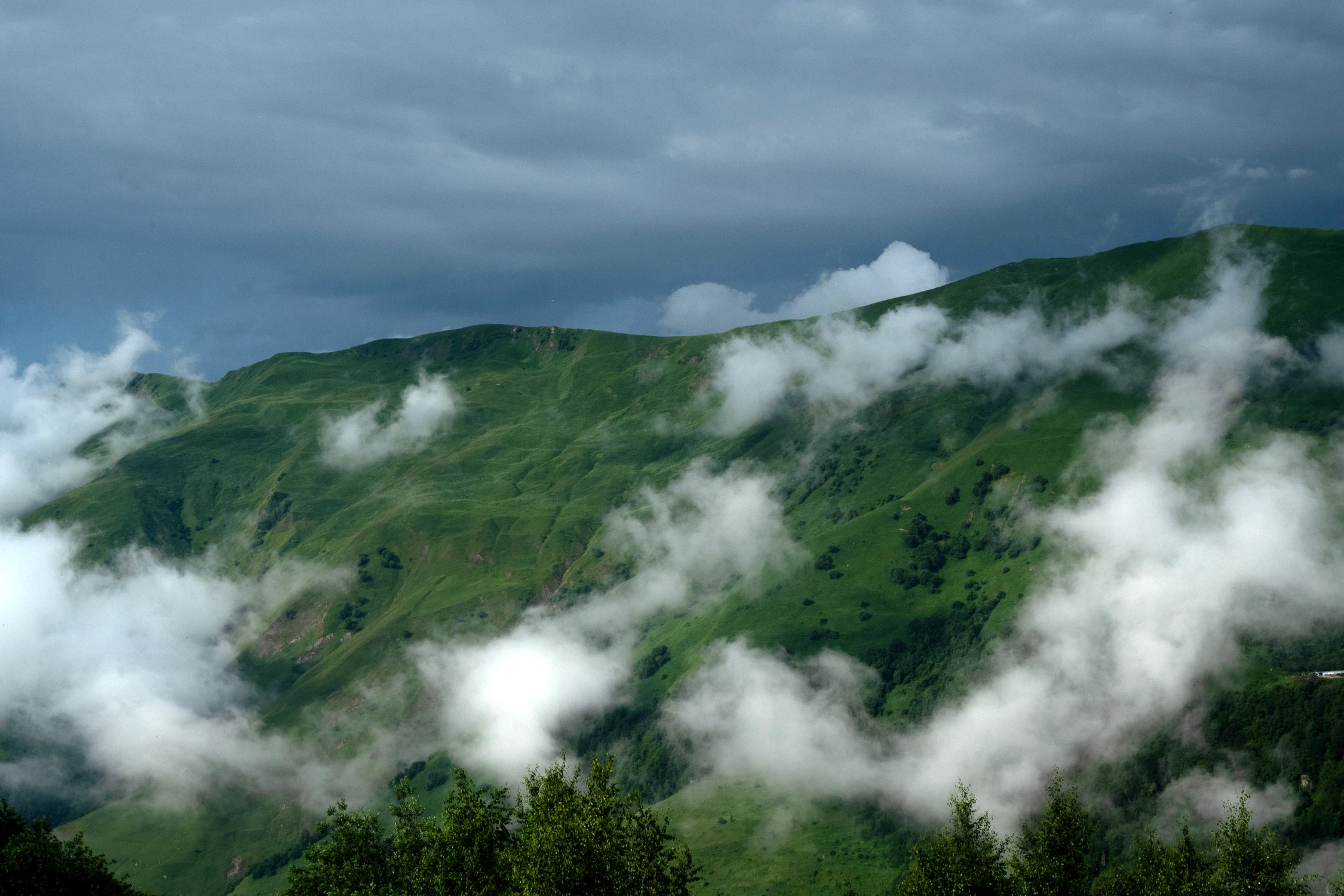 Gruzja