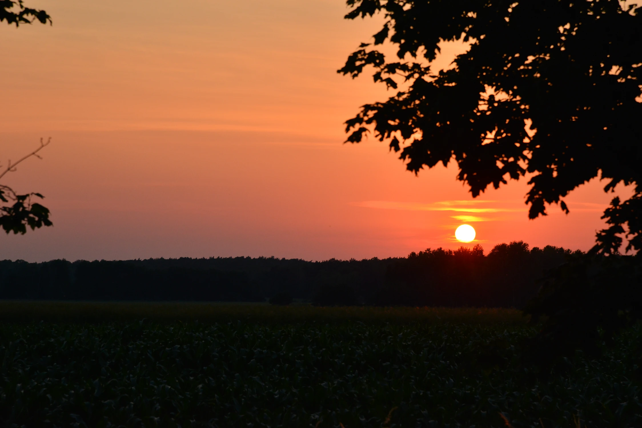 Podlasie