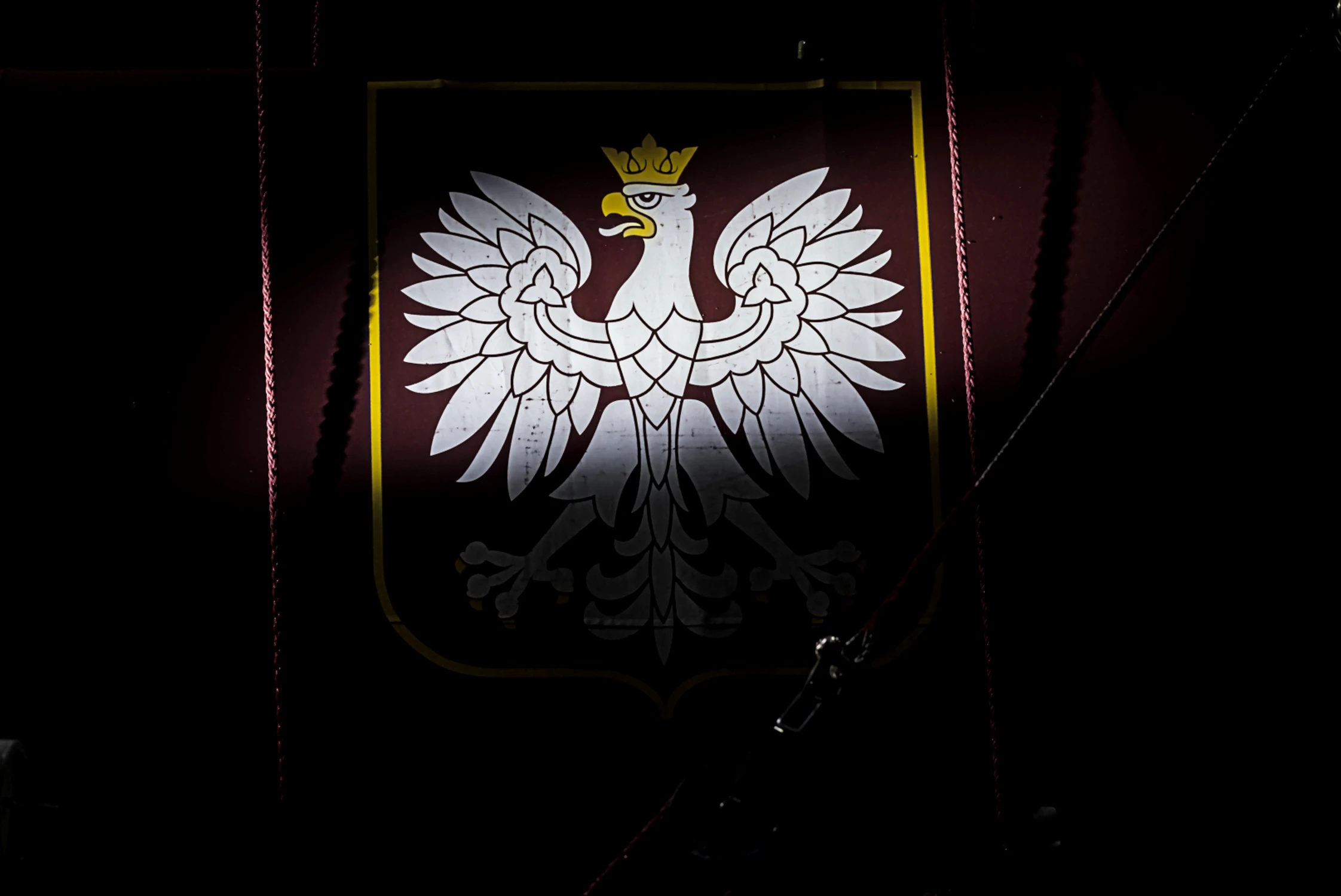 orzeł biały