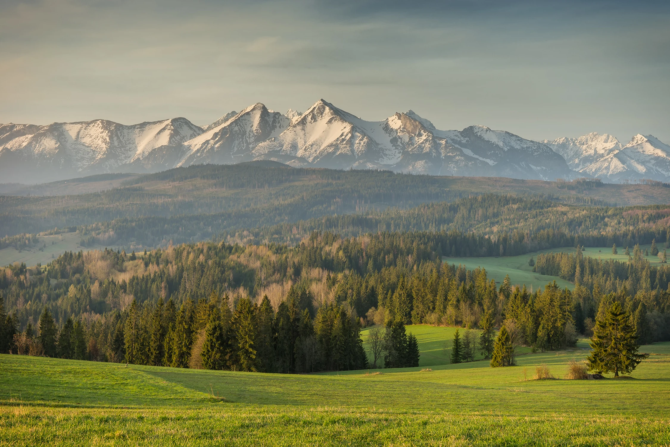 Tatry