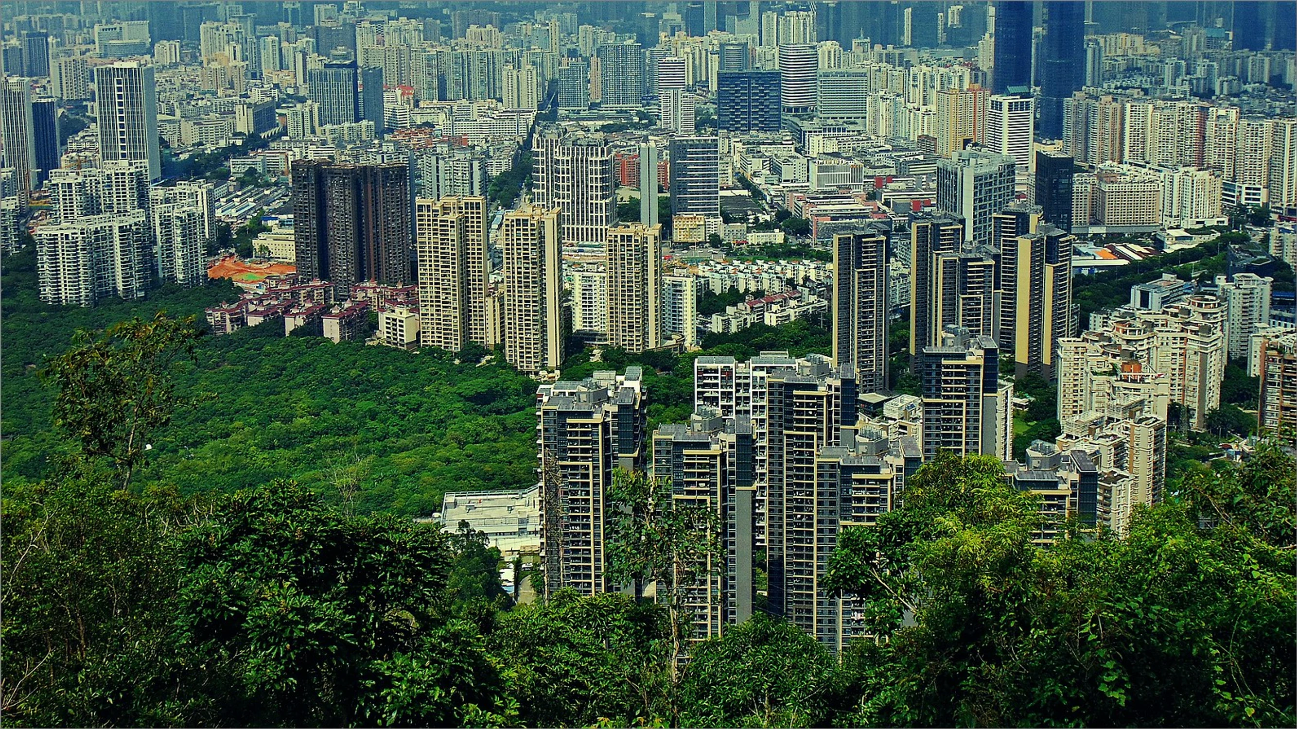 Shenzhen #6