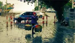 Beihai #5