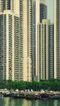 Shenzhen #5