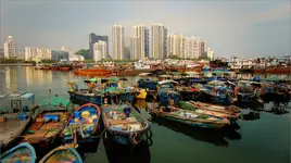 Shenzhen #3