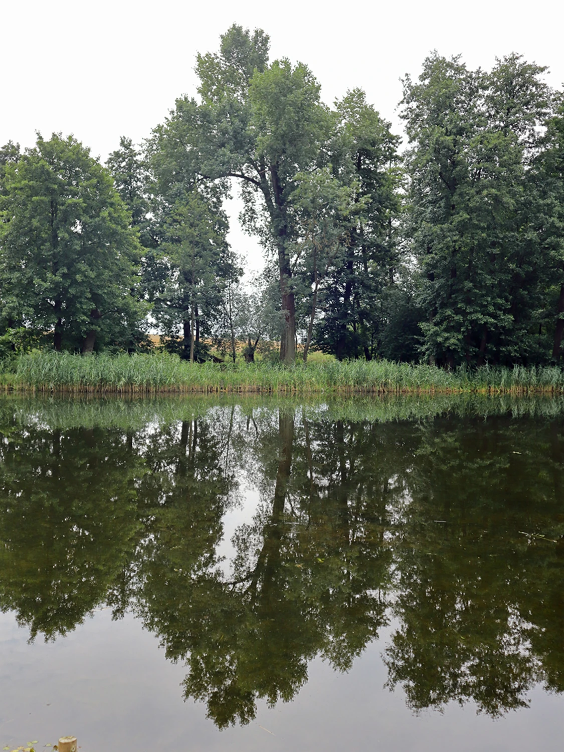 Park na uboczu