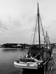 Ernestine (fot.1)