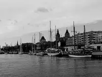 Ernestine (fot.6)