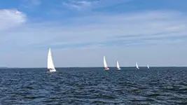 chyba regaty