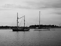Ernestine (fot.5)