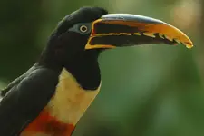 1000013482