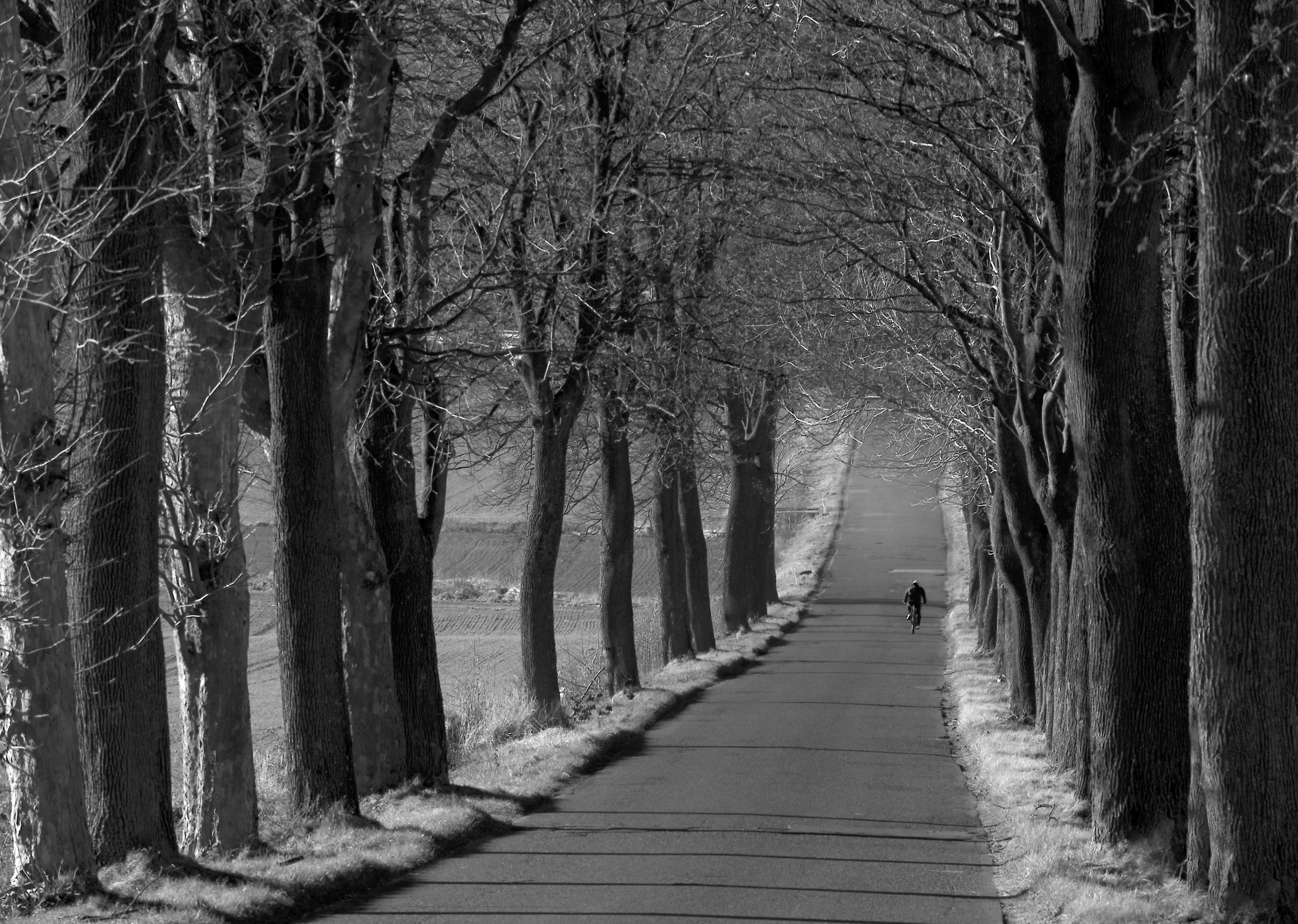 Street na Szosie
