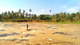 Sri Lanka