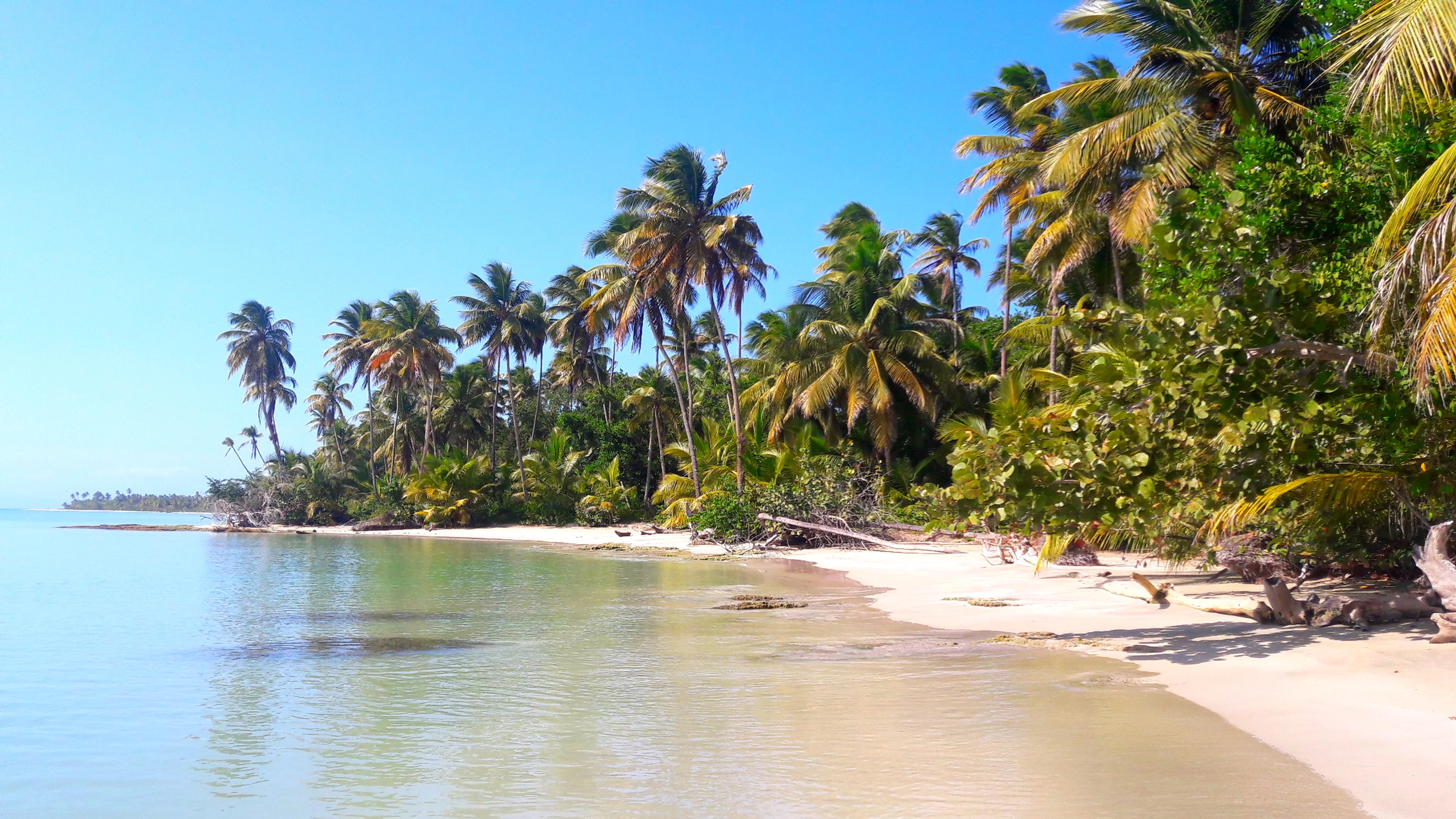 Rajska plaża, a za nią tylko dzika dżungla