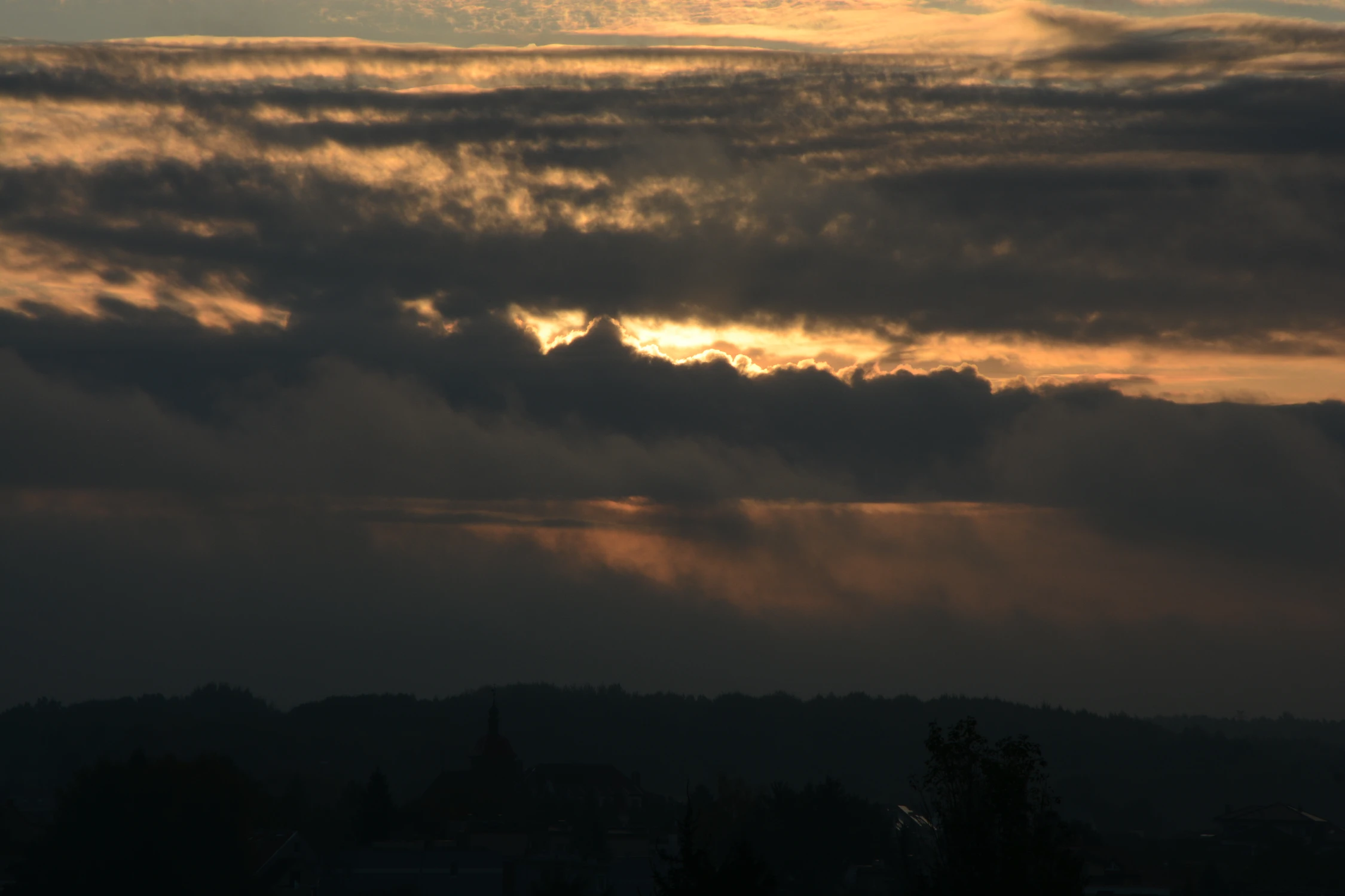 DSC_0018