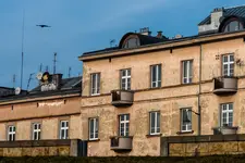 wlecioł ptak