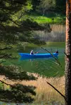 U pana boga za płotem