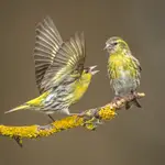 Gdzie się szlajałeś...