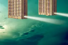 ***