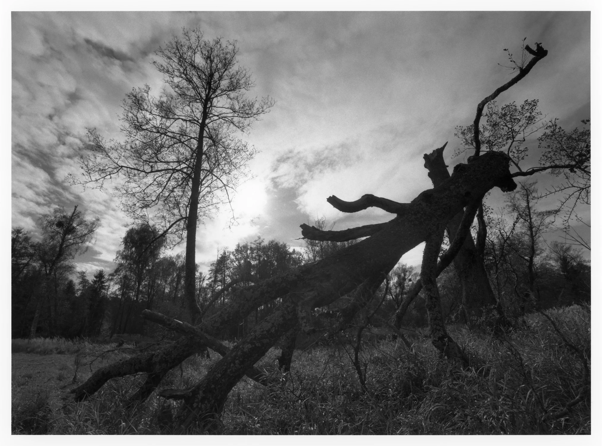 W POŁUDNIE ZDJĘĆ SIĘ NIE ROBI